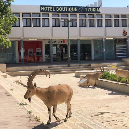 Tzukim Desert Traveler'S Hotel - מלון צוקים Mitzpe Ramon Εξωτερικό φωτογραφία